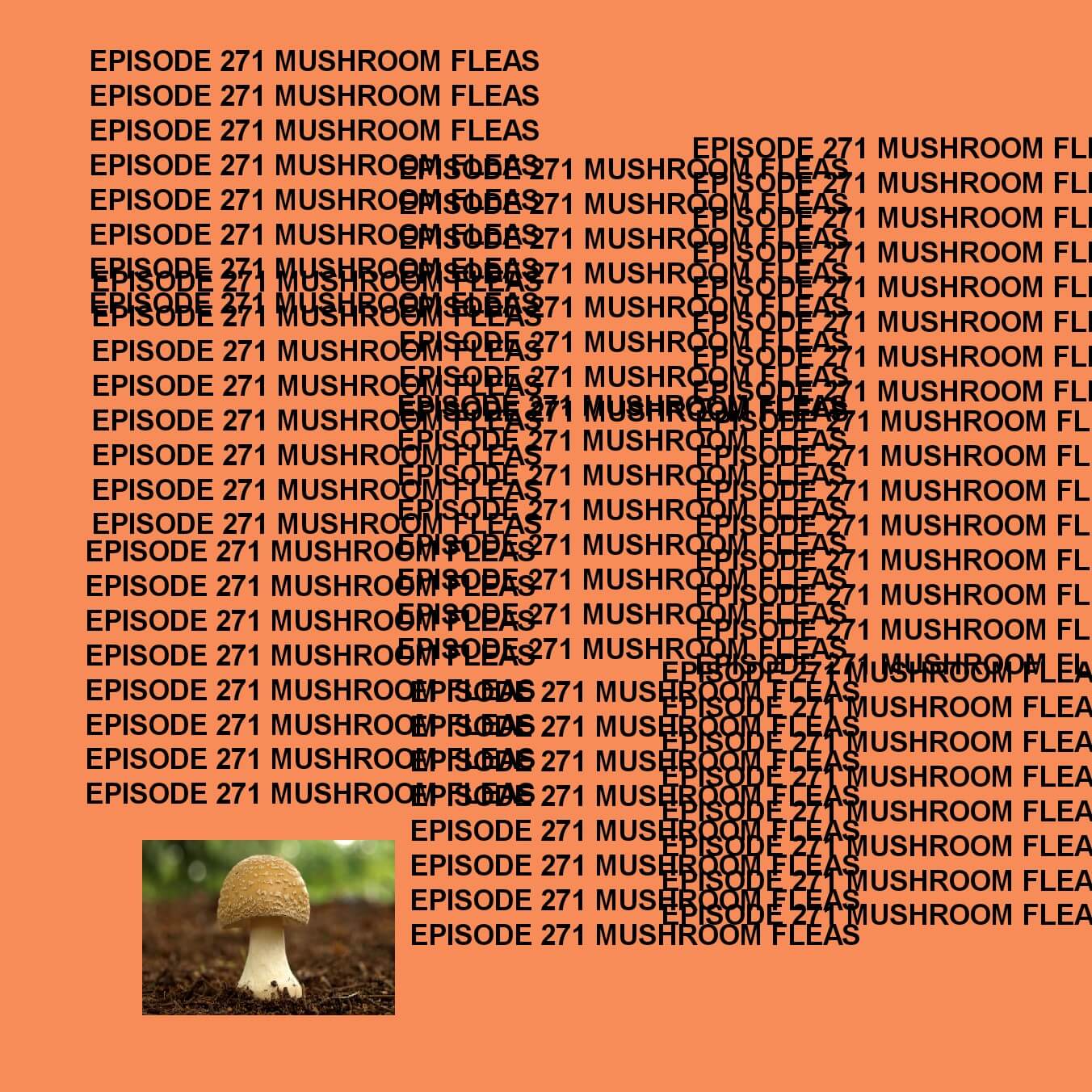 GTST Episode 271: Mushroom Fleas
